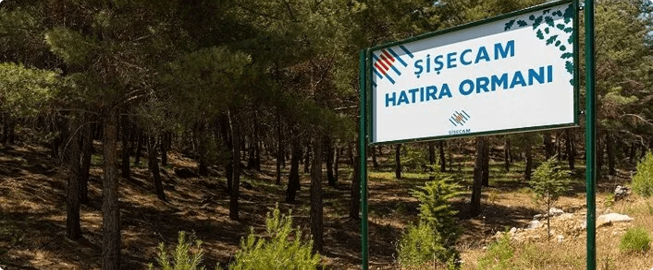 Advancing Environmental Sustainability
