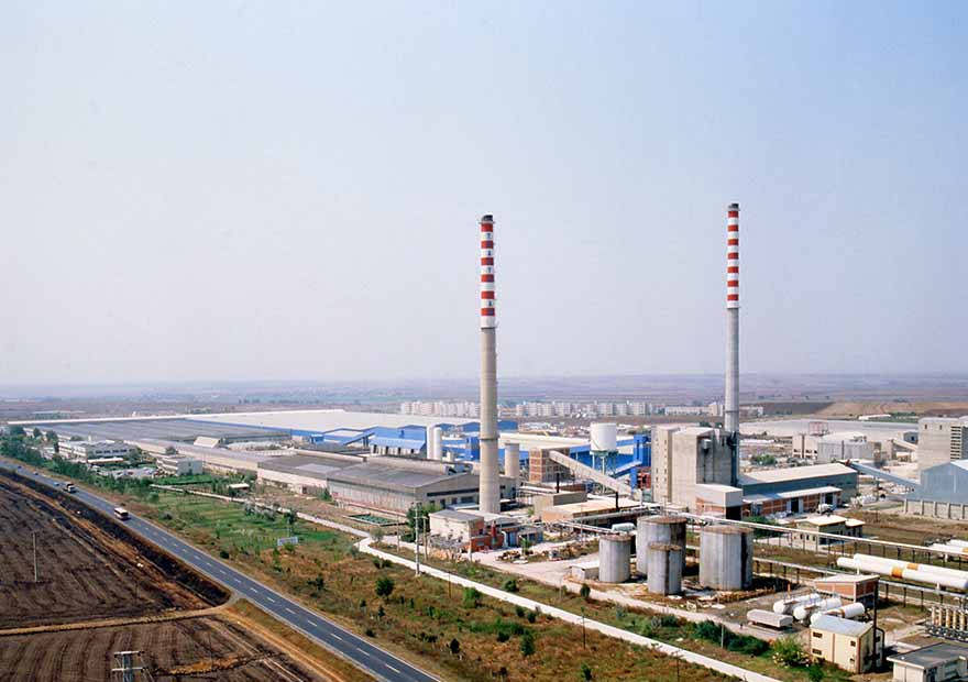 1981