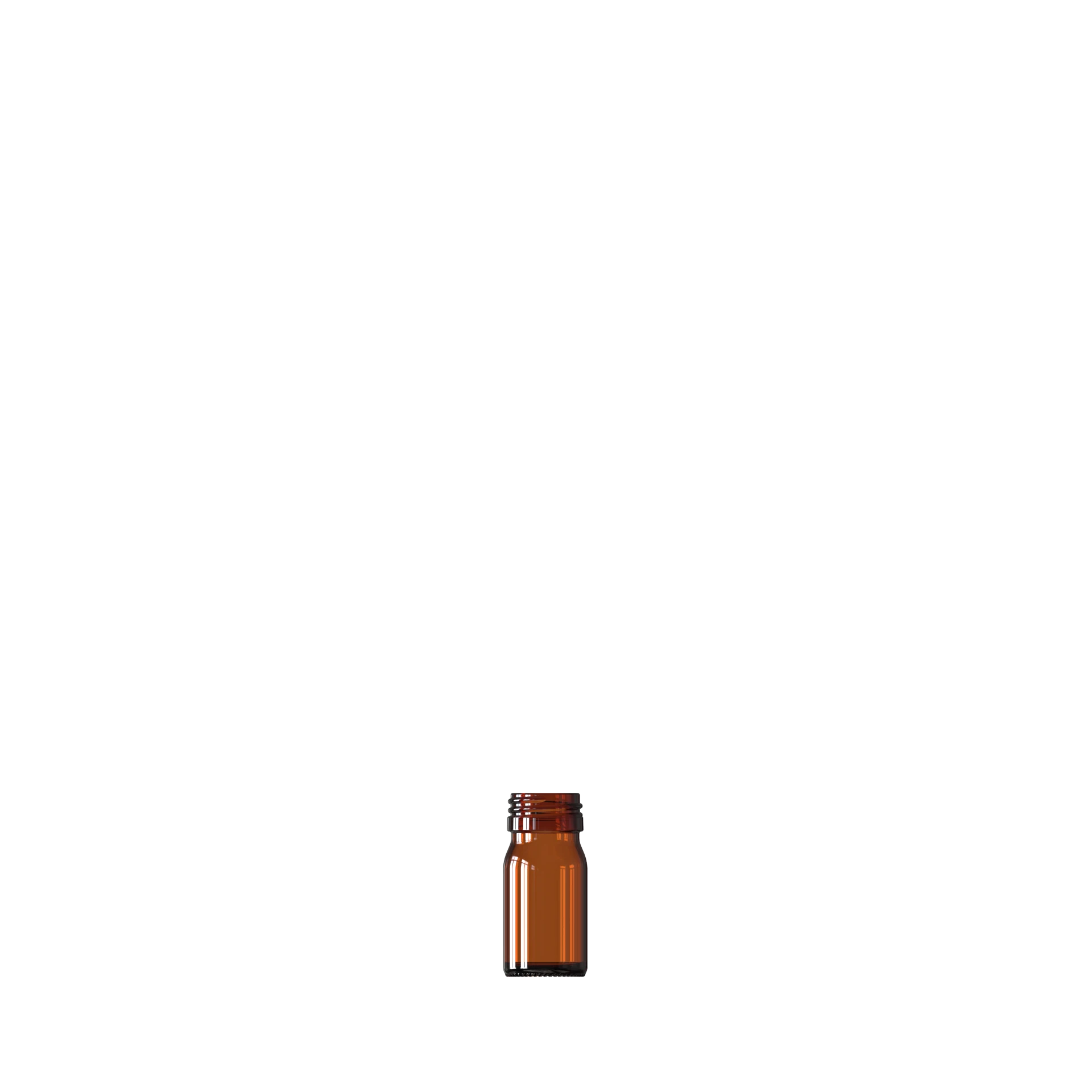 31 PP