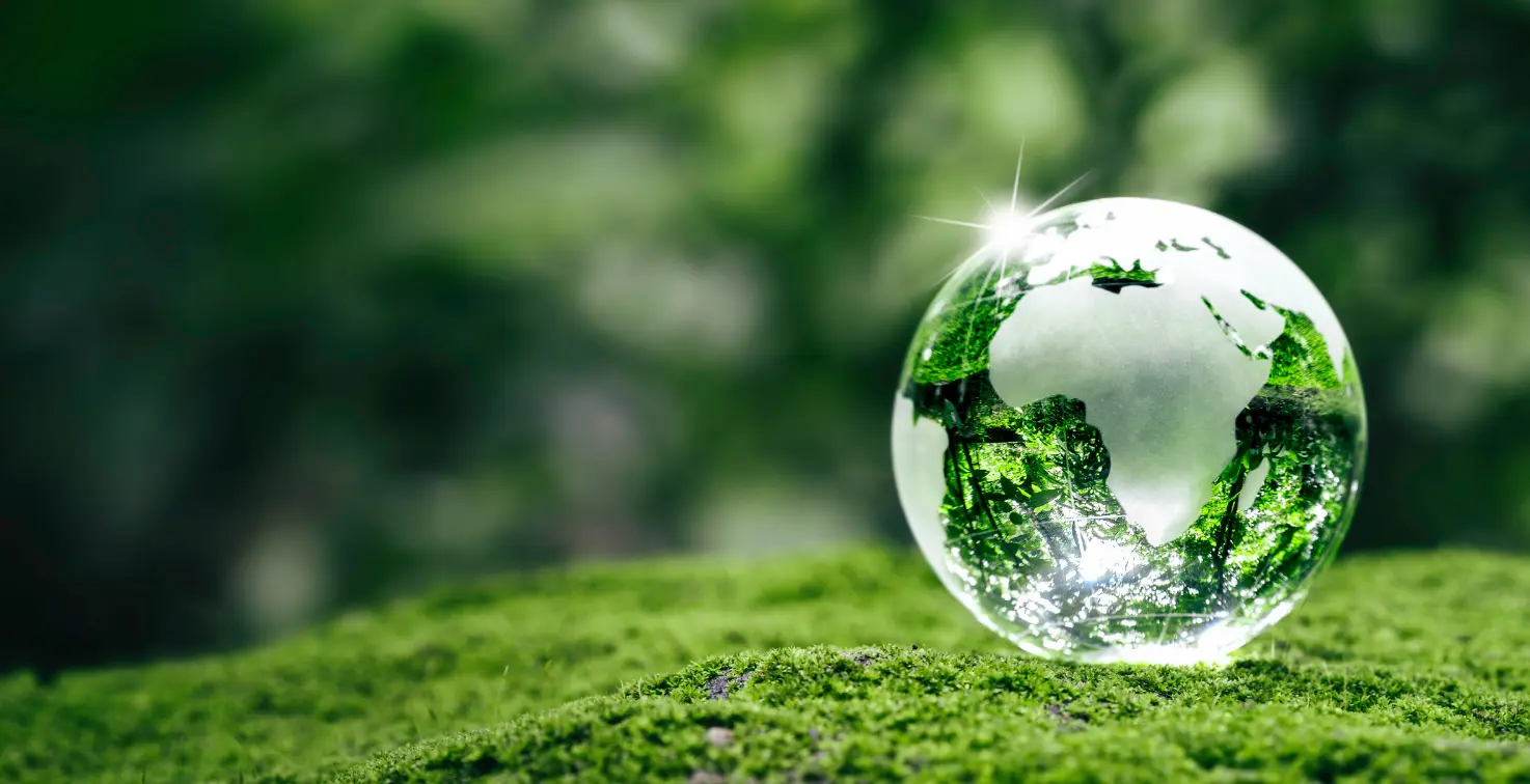 2024 TSRS Compliant Sustainability Report